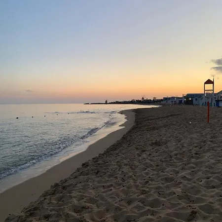 Ciauru Di Mare Trapani